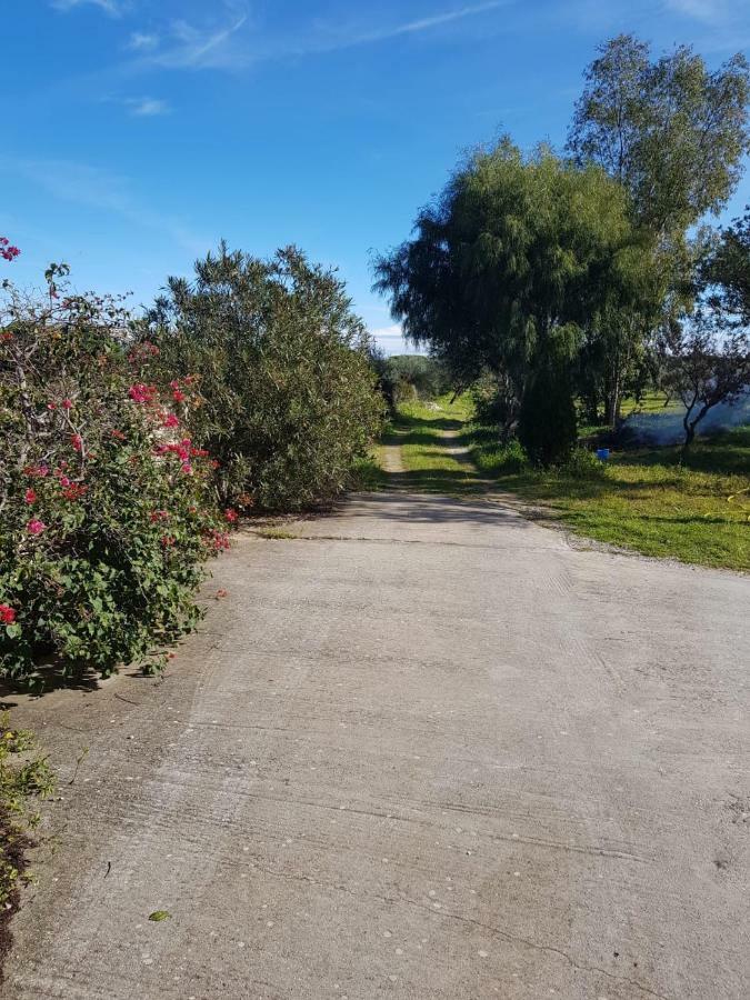Mimosa Bilocale Cala Liberotto Ngoại thất bức ảnh